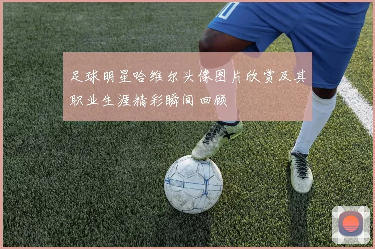 足球明星哈维尔头像图片欣赏及其职业生涯精彩瞬间回顾