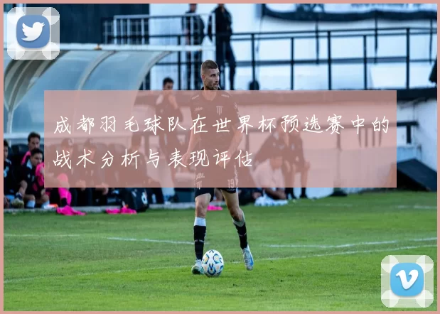 成都羽毛球队在世界杯预选赛中的战术分析与表现评估