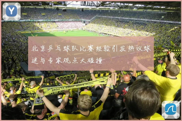 北京乒乓球队比赛经验引发热议球迷与专家观点大碰撞