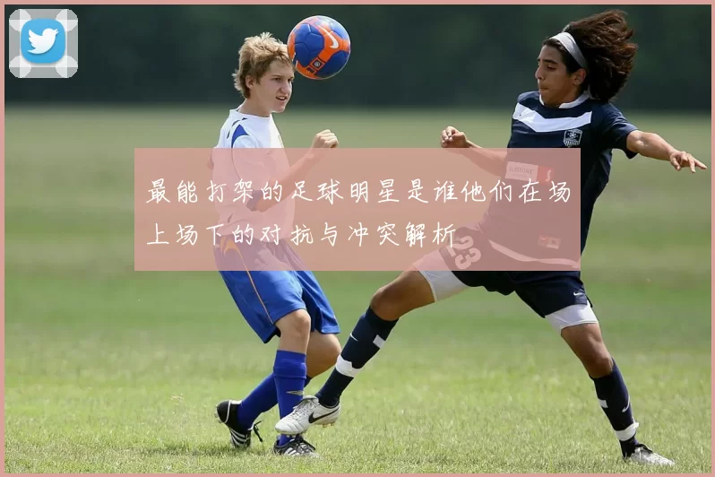 最能打架的足球明星是谁他们在场上场下的对抗与冲突解析