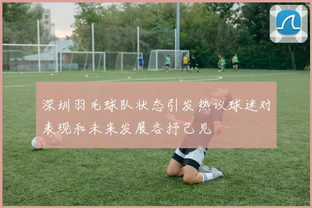深圳羽毛球队状态引发热议球迷对表现和未来发展各抒己见