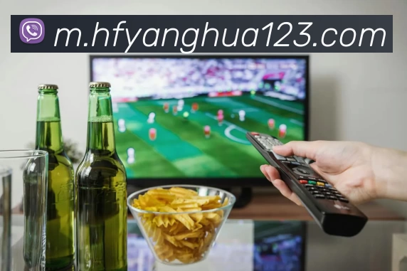 对战数据统计